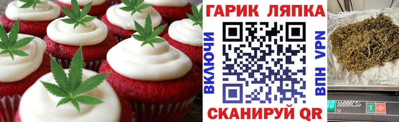 блэк спрут   Октябрьский  Cannafood конопля 
