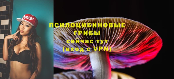 mix Дмитров